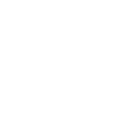 iverson logo